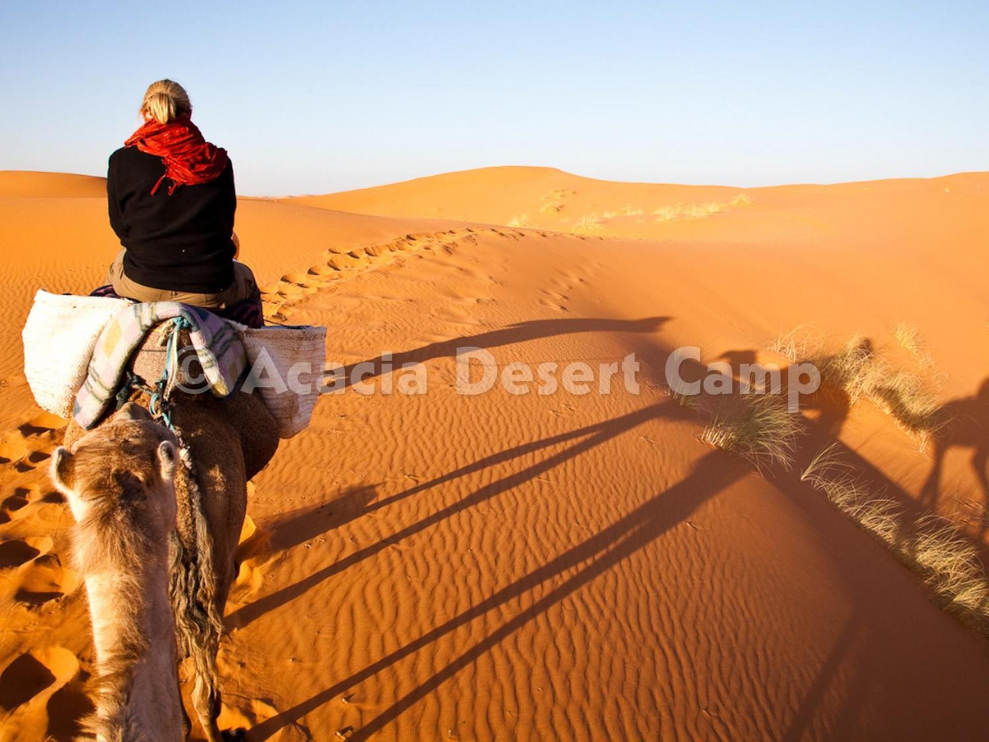 Acacia Desert Camp Ξενοδοχείο Merzouga Εξωτερικό φωτογραφία